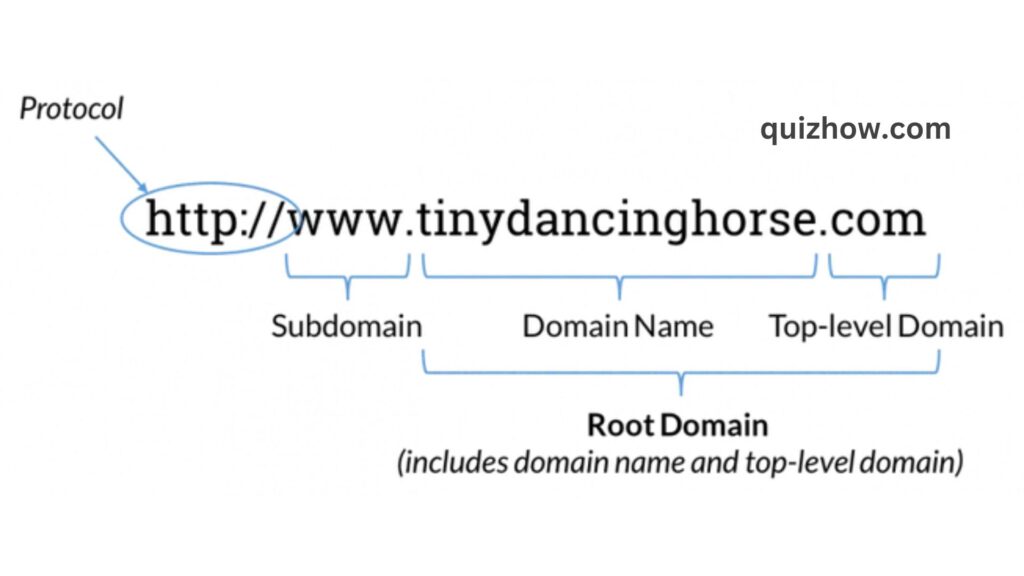 How to Build Pro Website from Scratch