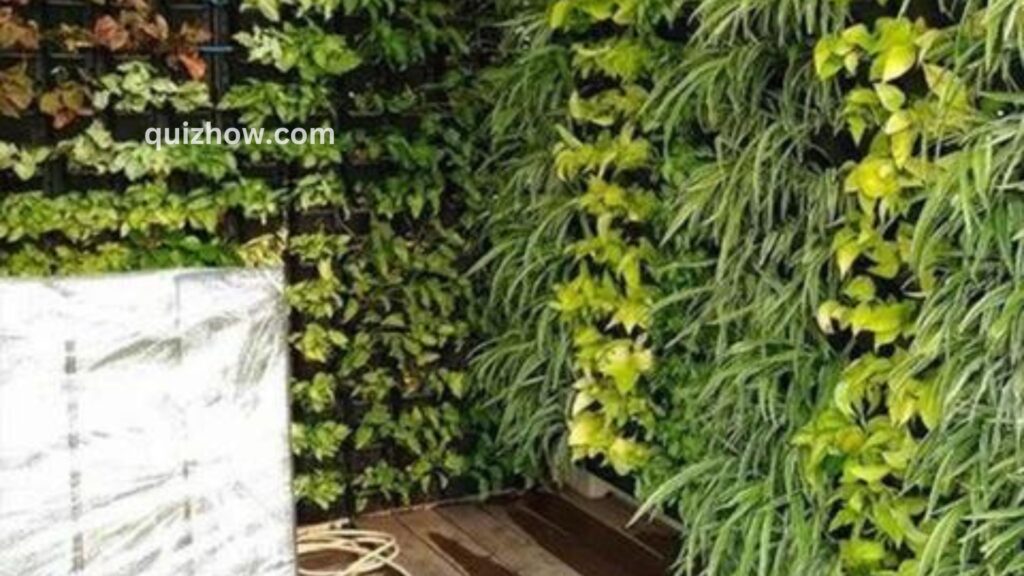 How to Build Vertical Garden in Your Backyard