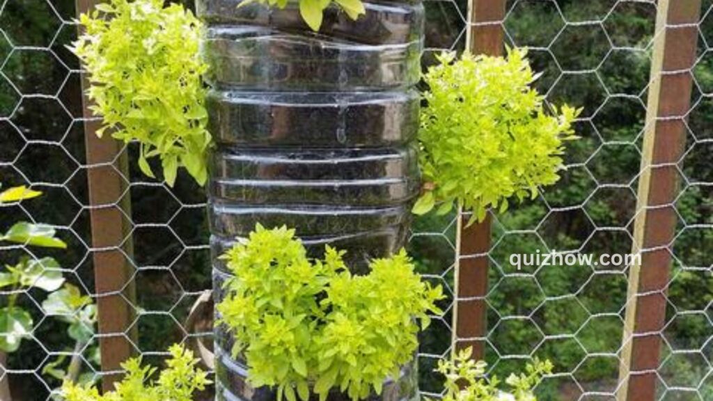 How to Build Vertical Garden in Your Backyard