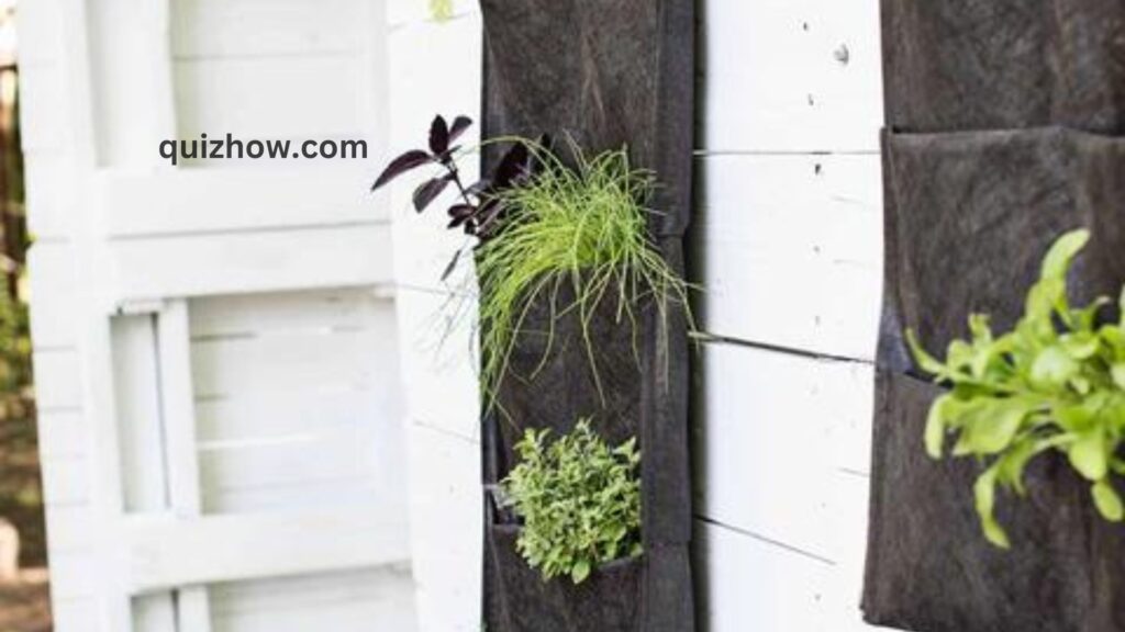 How to Build Vertical Garden in Your Backyard