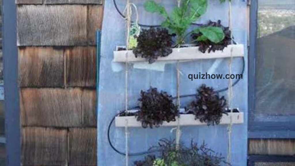 How to Build Vertical Garden in Your Backyard