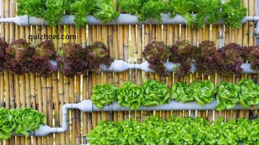 How to Build Vertical Garden in Your Backyard