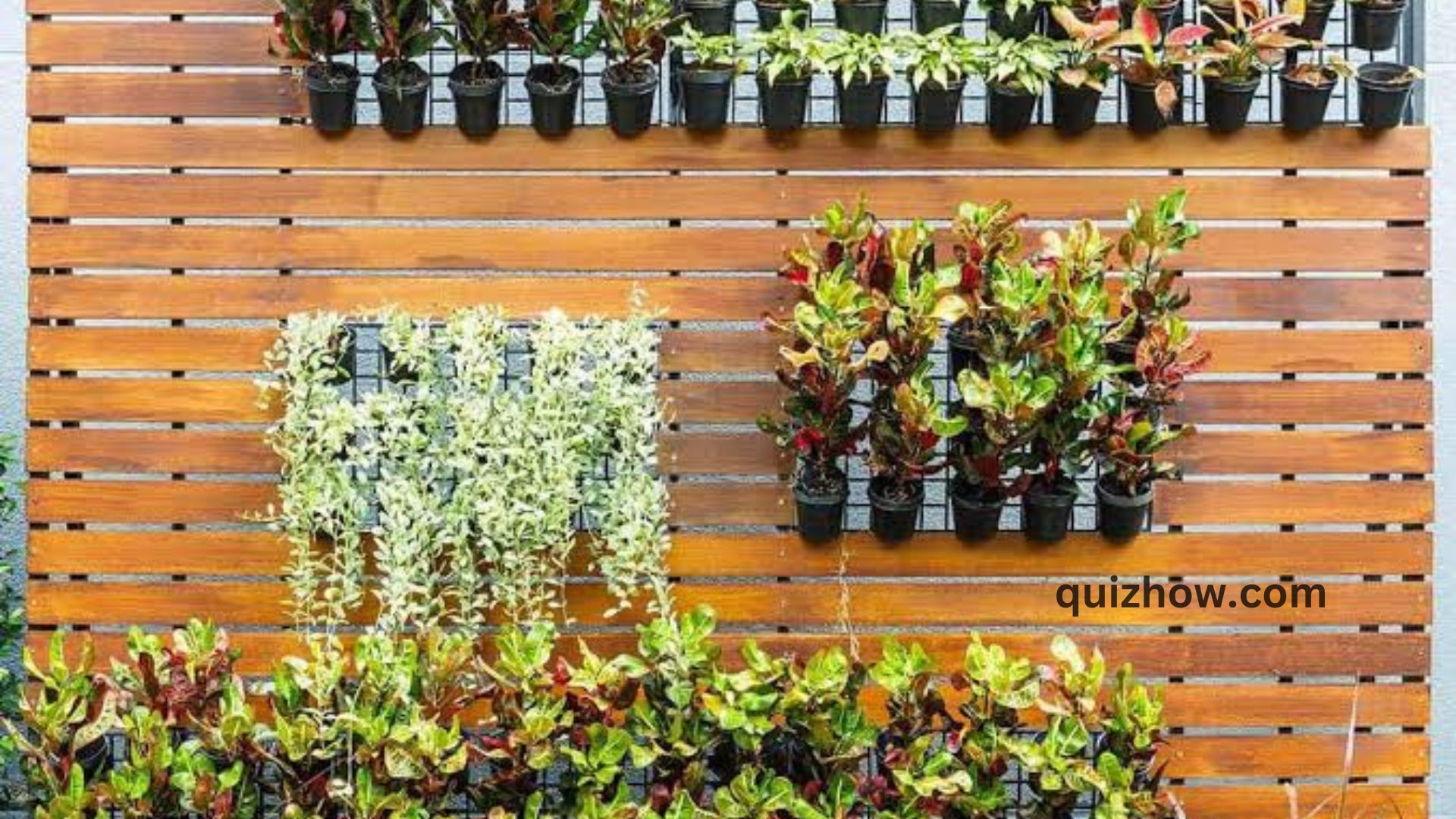 How to Build Vertical Garden in Your Backyard